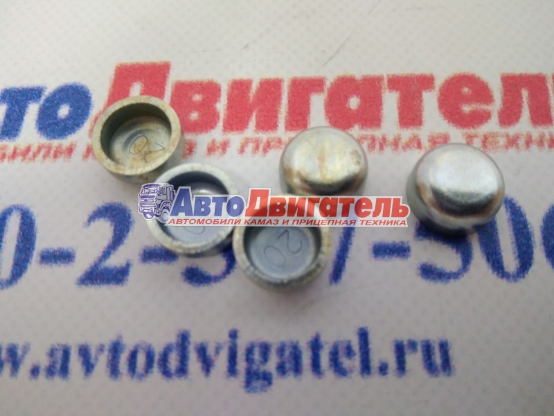 Пробка расширительная 3900955 Cummins ISBe, ISFe