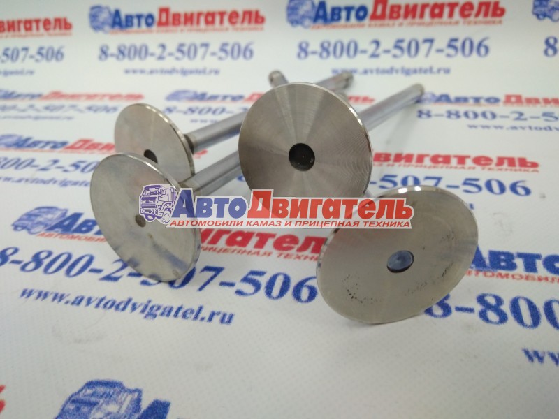 Клапан впускной 3924492 3802463 3802812 3927254 Cummins 6СТ